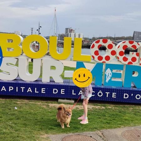 Le Sunny-Appartement Duplex Spacieux Outreau Eksteriør billede